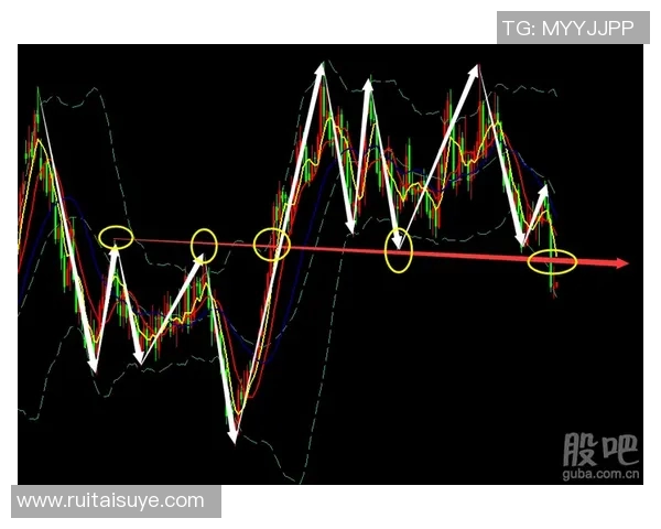 深入分析十五选五走势图的规律与技巧助你精准预测开奖结果